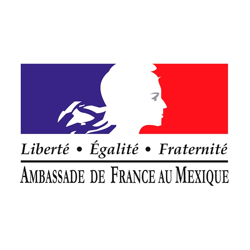 Embajada de Francia--Ilustración